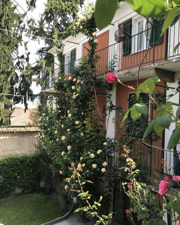 Roses Meni | La Morra