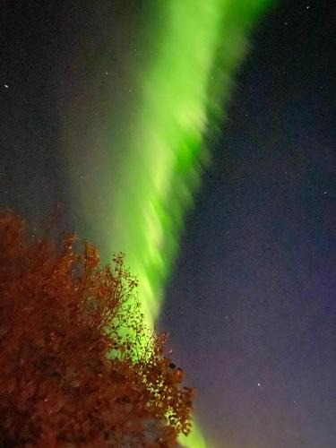 Lundar Farm | Borgarnes