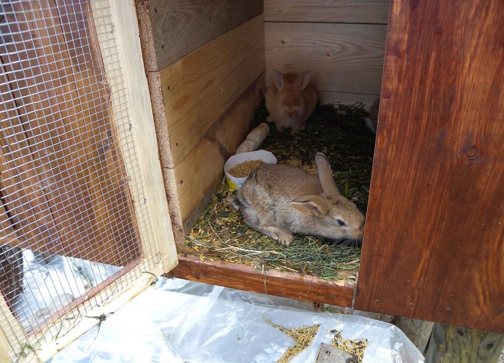 Holiday The Farm | Nova Bystrica