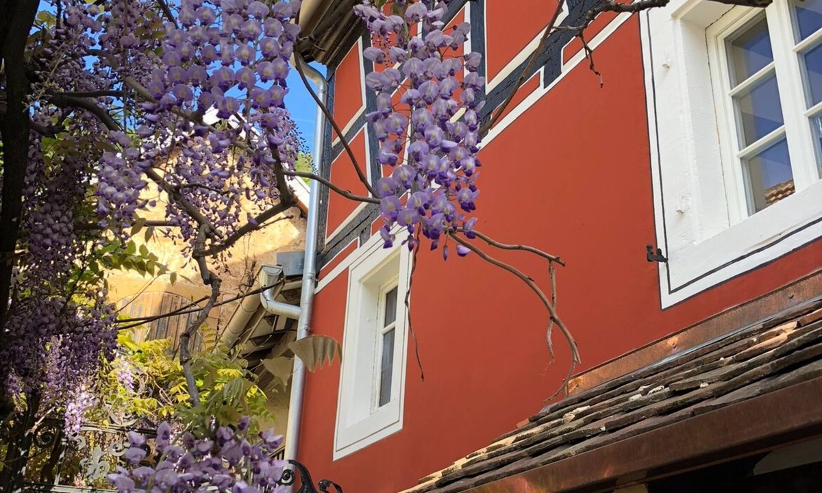 The Quetschekuchestubb | Neustadt-Haardt