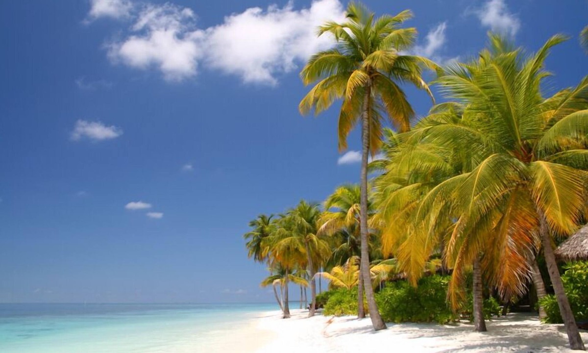 Beachside Colony Beach | Key Colony Beach