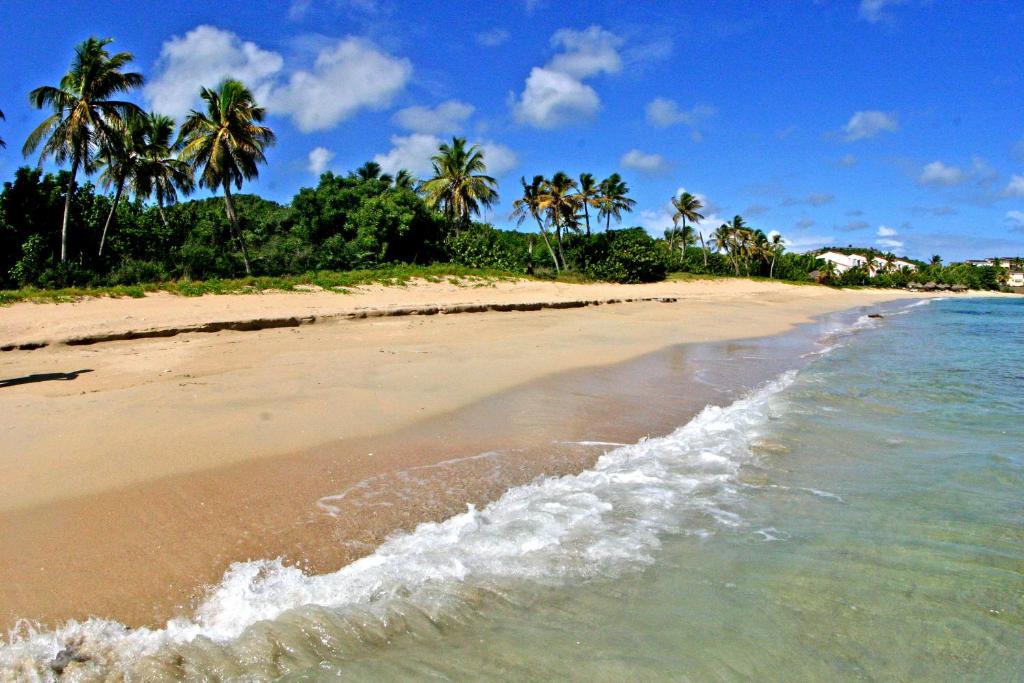 Yepton Estate Cottages | St. John's