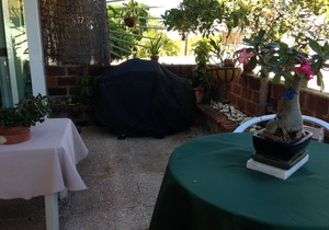 1/2 Block Away from the Best Beach In San Juan