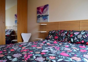 1 Bedroom Apartment near Guinness Storehouse Sleeps 2