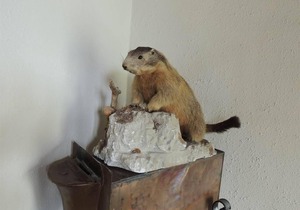 20 m² Hotel ∙ 1 bedroom ∙ 3 guests