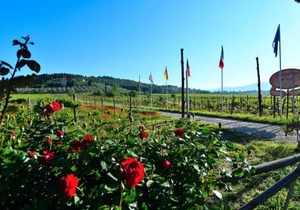 210 m² House ∙ 4 bedrooms ∙ 15 guests