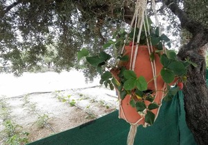 25 m² Studio flat ∙ 1 bedroom ∙ 2 guests