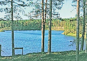 3 bedroom accommodation in Särna