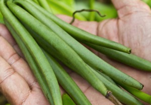 30 m² Studio flat ∙ 2 guests