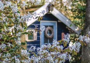 4-person vacation home in Overijssel in the beautiful Vechtdal.