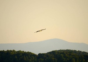 40 m² Apartment ∙ 1 bedroom ∙ 3 guests