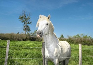 45 m² Apartment ∙ 2 bedrooms ∙ 4 guests