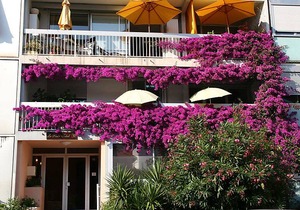 48 m² Apartment ∙ 1 bedroom ∙ 4 guests