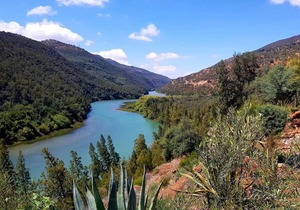 50 m² Private room ∙ 1 bedroom ∙ 4 guests