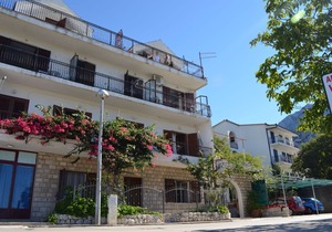 Apartment Jozo - 150 m from pebble beach: A1(2) - Gradac, Riviera Makarska, Croatia