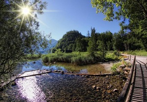 Apartment Kaiserschild.17