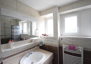 Appartement à Évian-les-Bains avec wifi, garage fermé et animaux admis - FR-1-498-40