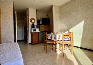 Argelès-sur-Mer : Studio cabine avec terrasse, proche plage et commerces, parfait pour famille - FR-1-225-637