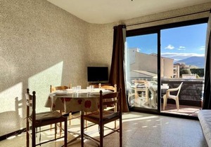 Argelès-sur-Mer : Studio cabine avec terrasse, proche plage et commerces, parfait pour famille - FR-1-225-637