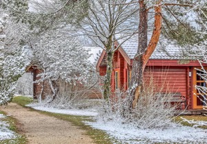 Beautiful home in Hayingen with Sauna and 3 Bedrooms