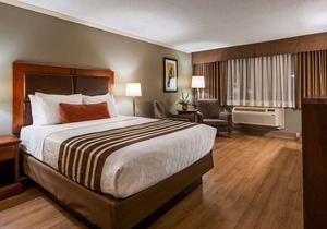 Best Western Plus Ottawa City Centre