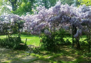 Blue room at Villa Mirano Bed and BreakFast Piossasco - Turin - Piedmont