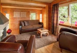 Chalet in Overijssel with Spacious Terrace