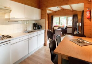 Chalet in Overijssel with Spacious Terrace