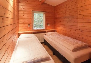 Chalet in Overijssel with Spacious Terrace