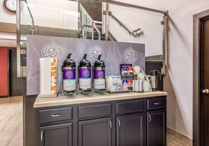 Clarion Pointe Jamestown - Falconer