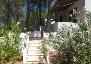 Collins Apartments 2