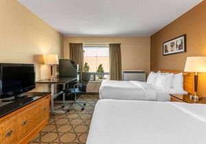 Comfort Inn Amherst