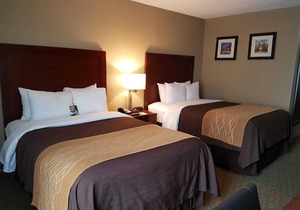 Comfort Inn Wethersfield - Hartford