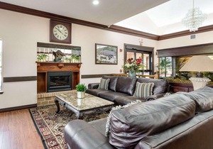 Comfort Suites Lake Jackson Clute