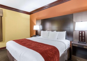 Comfort Suites Lake Jackson Clute