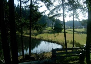 Cottage of Tranquility