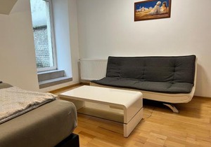 Cozy Studio Apt - Near Prater Ferris Wheel