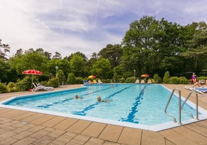 Designed Chalet with smart TV, next to forest