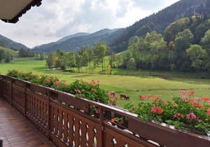 Double room 2 with toilet and shower, 1 - 2 persons - Mosertonihof