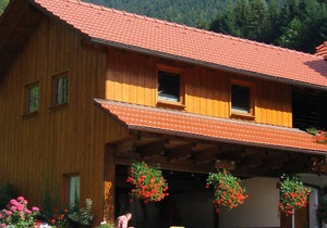 Double room 2 with toilet and shower, 1 - 2 persons - Mosertonihof