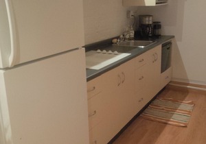 Downtown Apartment in Historic Cabbagetown