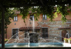 Fattoria Usignoli Ulivo