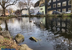 Ferienwohnung 'am Ochsentor'