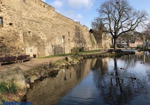 Ferienwohnung 'am Ochsentor'