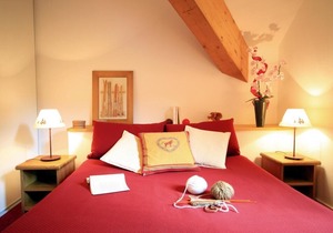 Fitness, swimming pool, sauna, hammam, terrace, balcony, parking, tv, ski locker, 48-58m²