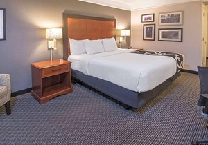 Fun Days Ahead! 3 Units w/ FREE Bfast & Parking, Pool, Minutes to Wax Museum!