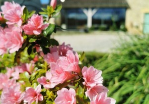 Gite Limeuil, 4 bedrooms, 7 persons