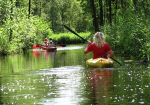 Good chalet with dishwasher, surrounded by forest