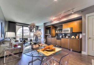 Gorgeous Views of the Lake, Mountains and Pool, Luxurious 1 bed 1 bath Apt.