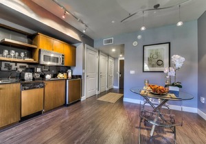 Gorgeous Views of the Lake, Mountains and Pool, Luxurious 1 bed 1 bath Apt.